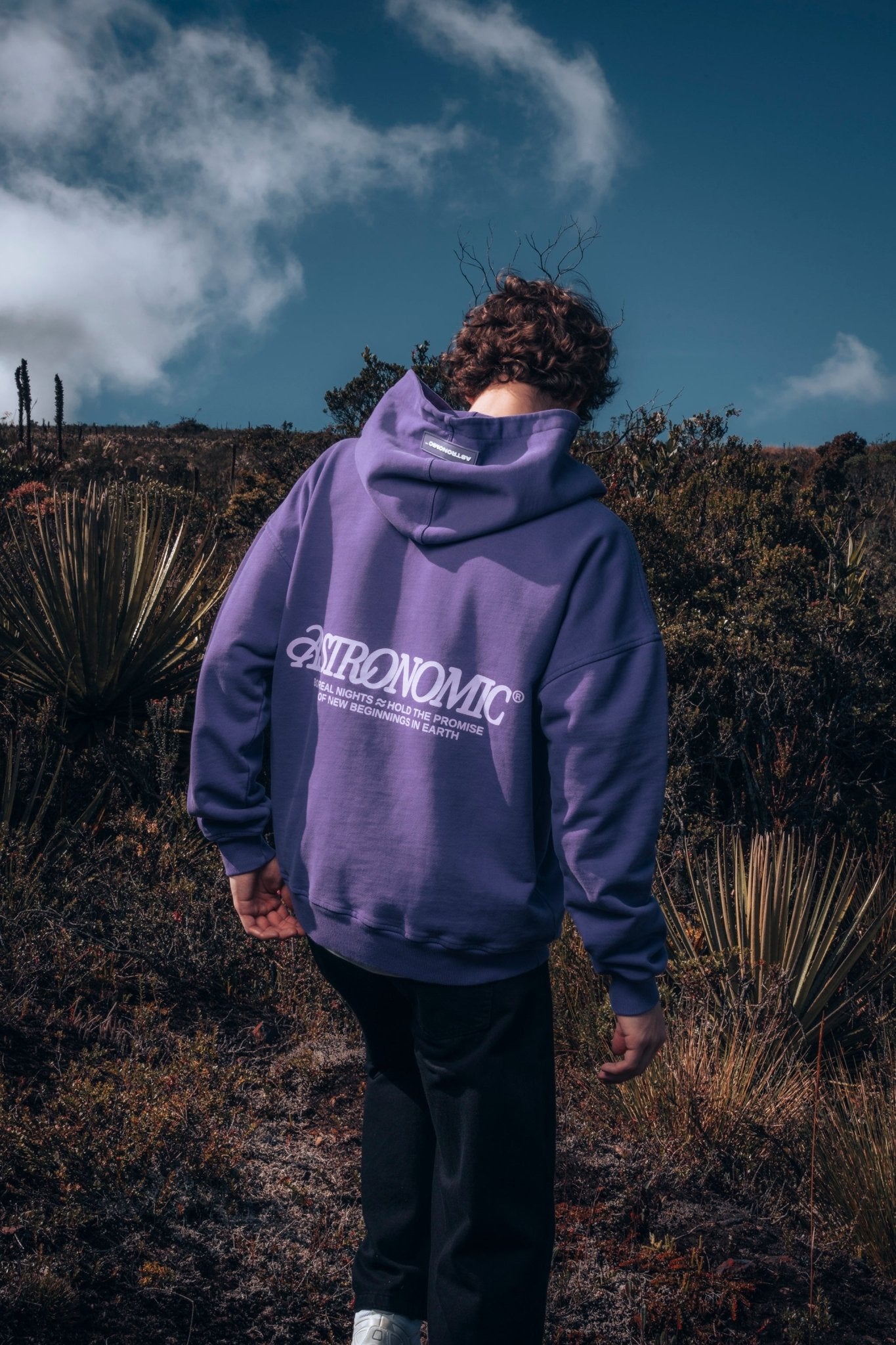 Hooded Sweatshirt Sudadera Morada Amazon Carhartt Sudadera Morada